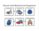 Visual and Behavioral Supports