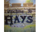 Hays Boardmaker Group Ideas